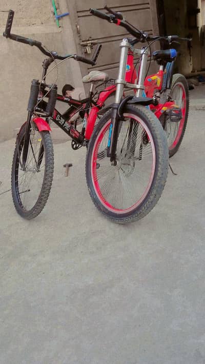 original Morgan cycle