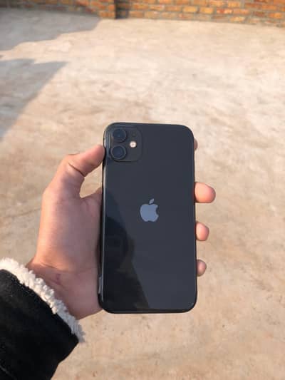 Iphone 11 | 64 GB | Lush Condition