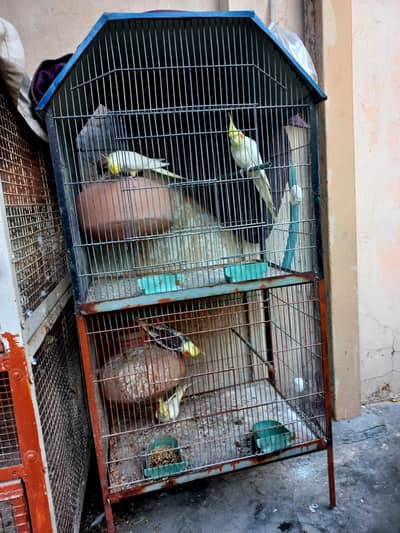 cocktails good breeders