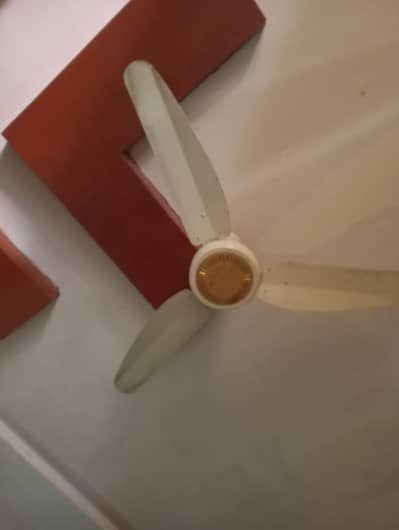 ceiling fan 100% copper