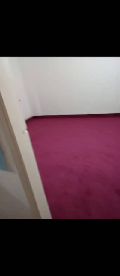carpet for sale