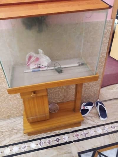  aquarium hy  jis Bhai NY lyna hy rabita kery