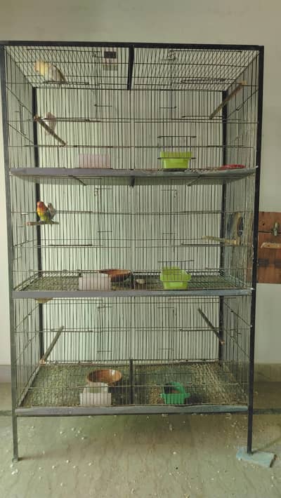 cages for Lovebirds , Budgies