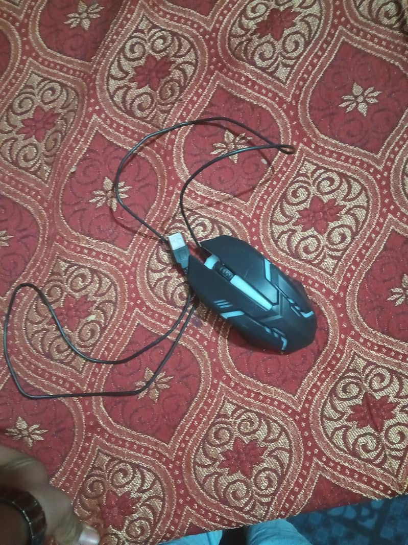 Mouse 2