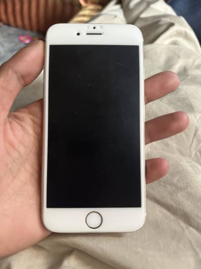 Iphone 6 Pta Approved