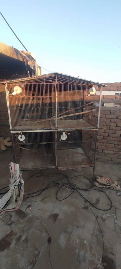 parrat etc cage  4*4 in good condition for sale