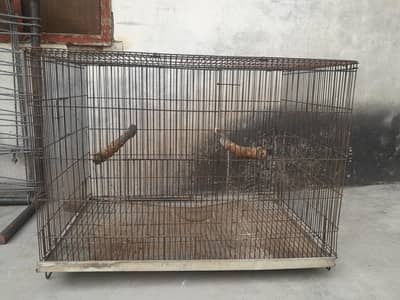 Birds cage for sale