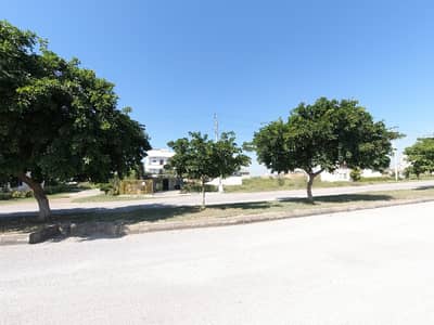 Residential Plot For Sale