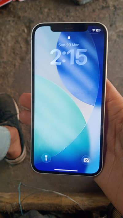 only serious buyer contect me