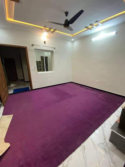 Two Carpets Branded Quality