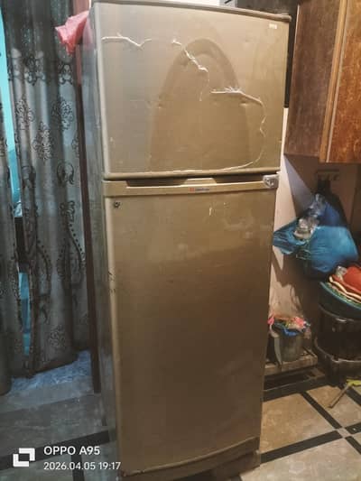 jampoo size frij used hai  but bhtreen h