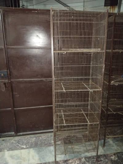 CAGES FOR BIRDS