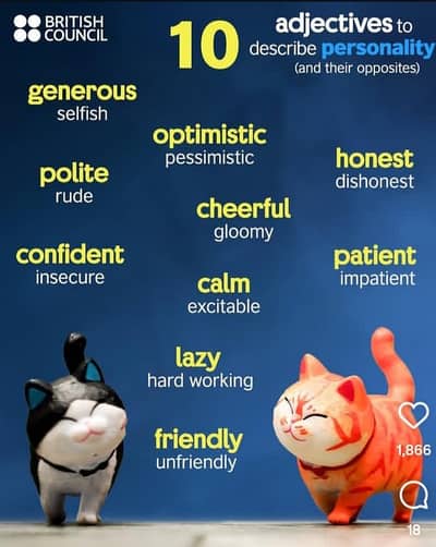 Focus English Development Home Service