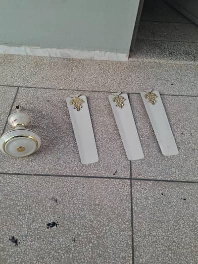 Ceiling fans in best condition