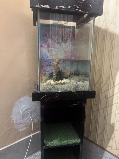 Fish Aquarium for sals