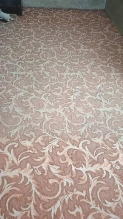room carpet