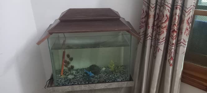 Aquarium for sale
