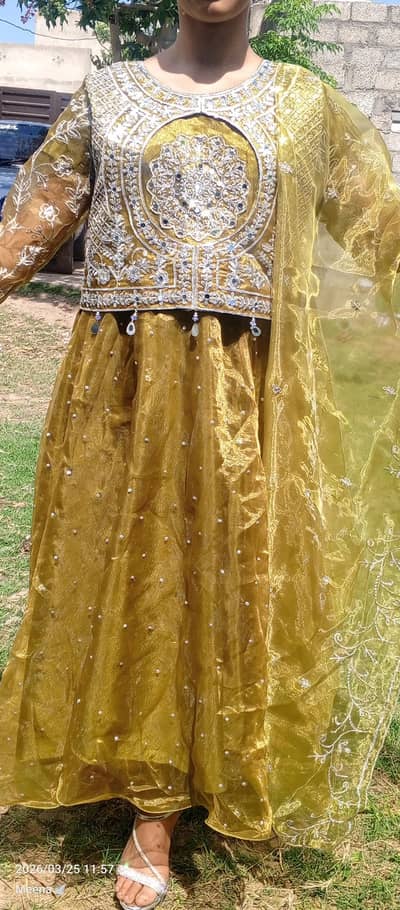 traditional Embroidery dress