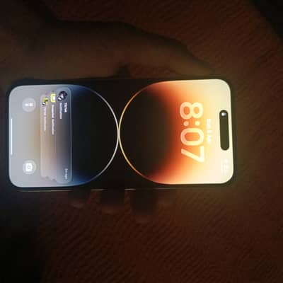 Apple iPhone 14 Pro Max  256 GB  (JV) Golden colour