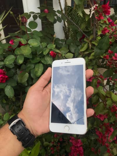 Iphone 7 plus PTA Approved 128 gb