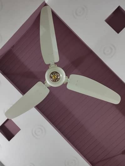Royal Ceiling Fans – 4 Available | Excellent Condition | Strong Air