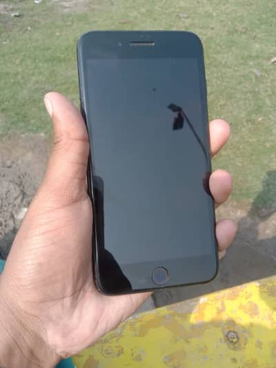 What’s app number : 03461710257