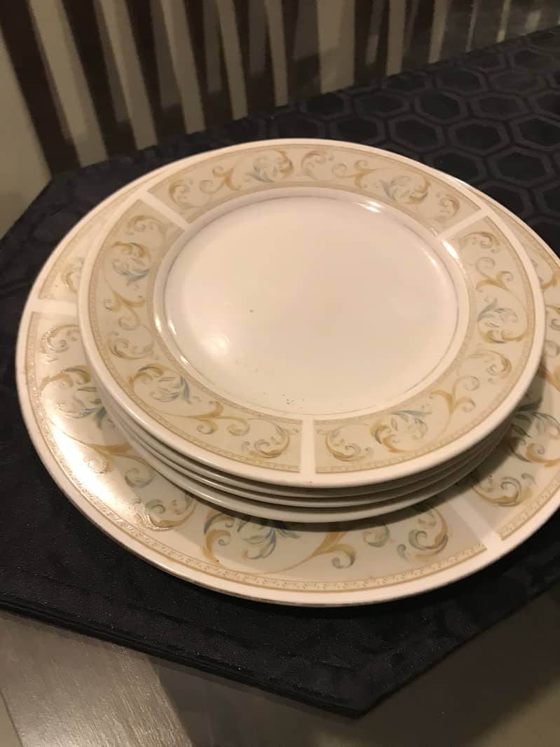 Dining plates 10