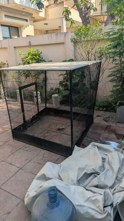 metal cage for sale