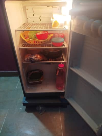 Pel fridge for sale