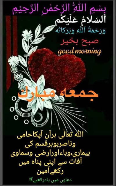 Requirements for lady