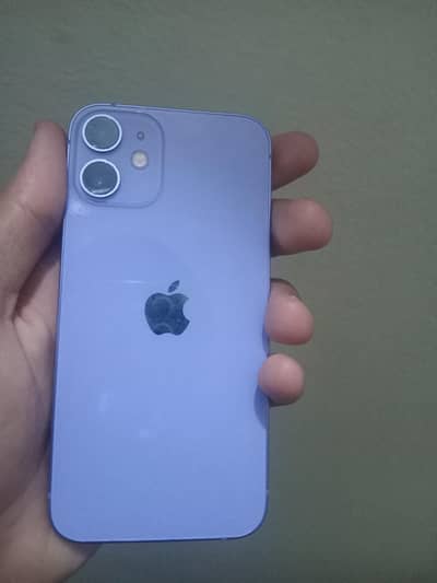 Iphone 12mini lush condition