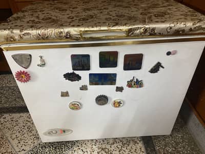 PEL deep freezer - No frost