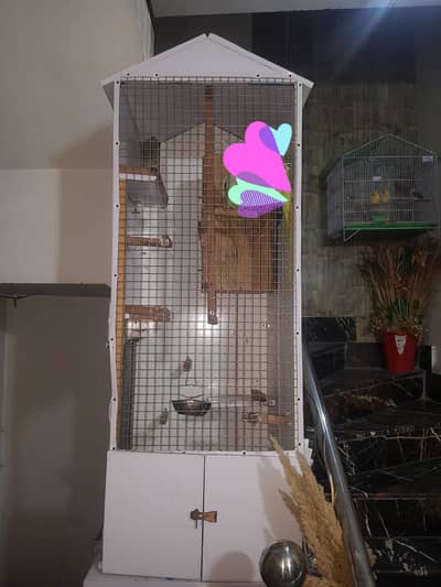 Raw parrot cage