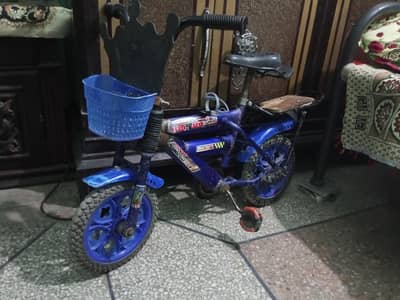 kids bicycle 12 inch
