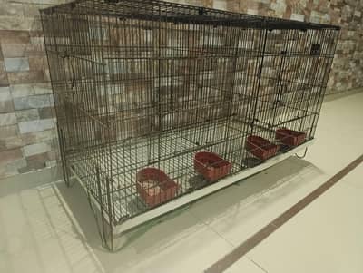 Cage for Birds