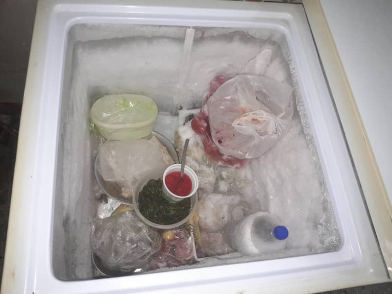 ڈبل ڈور فریج | زبردست کنڈیشن 1