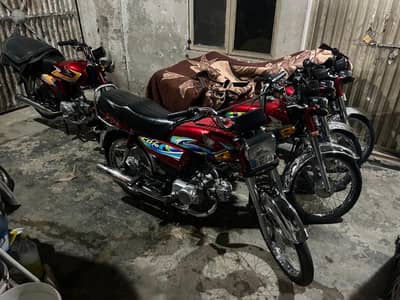 HONDA CD 70 2023-2024