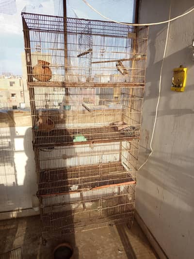 Folding cage with breeding matki