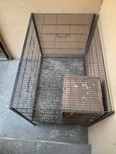 cage urjent sale