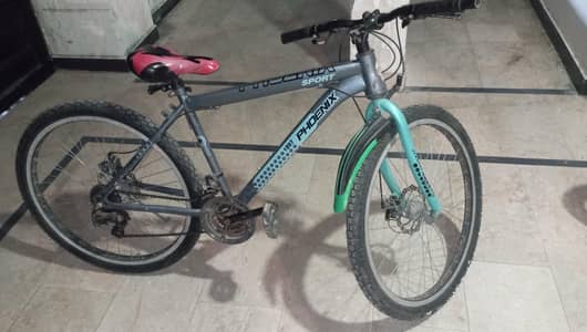 Phoenix Bicycle Used