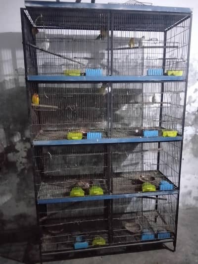 Whatsapp number. 03016706862