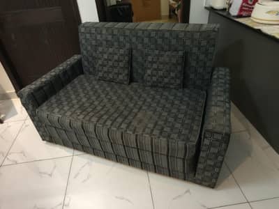 Molty Foam Sofa Cum bed