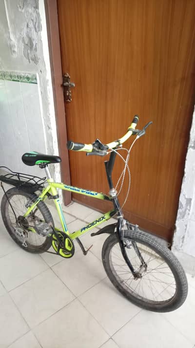 Phoenix Bicycle Cycle for Sale