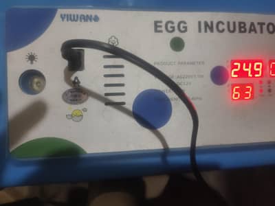 eggs incubator auto 3457561484