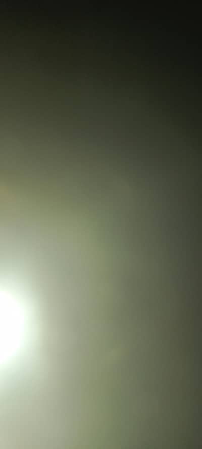 digital marketer female required