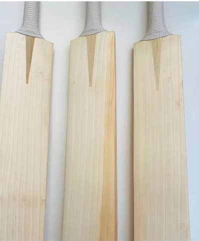 premium quality pak willow bat