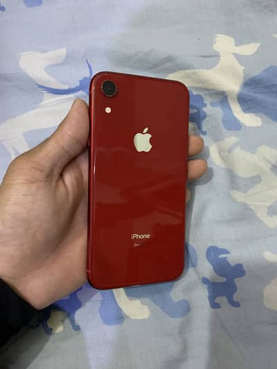 I Phone XR non pta