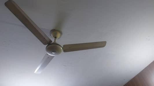 Pak fans Genuine Fan