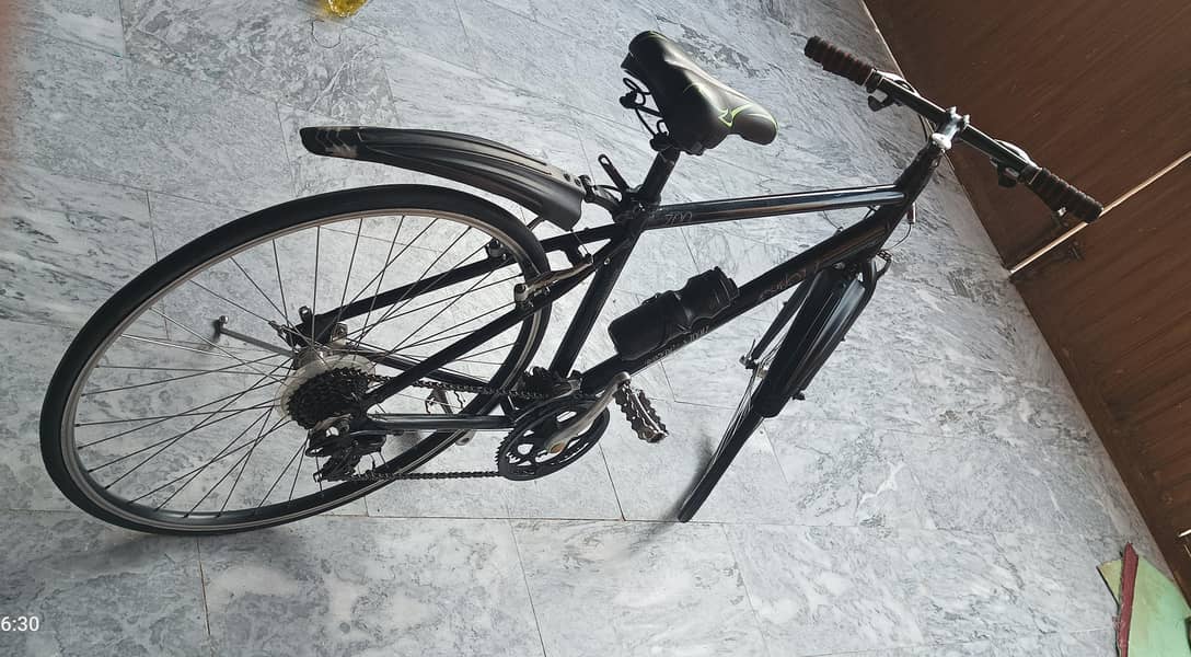 Bridgestone Bicycle 2