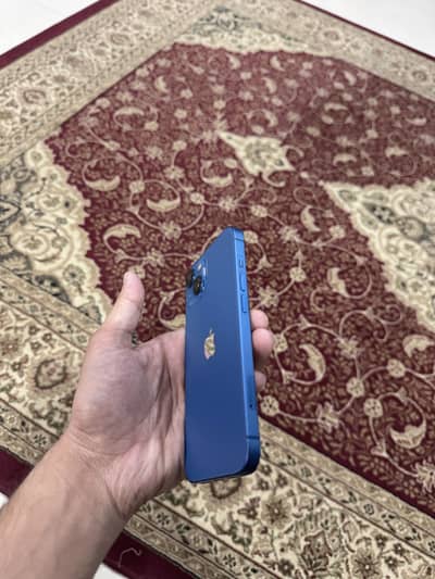 Iphone 13 pta approve